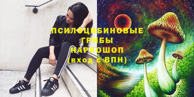 Псилоцибиновые грибы Magic Shrooms  Касимов 